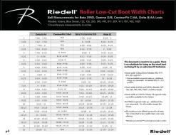 Riedell Blue Streak Boots -Outdoor Skates Shop Screen Shot 2021 02 11 at 1.09.07 PM 40300.1654193266